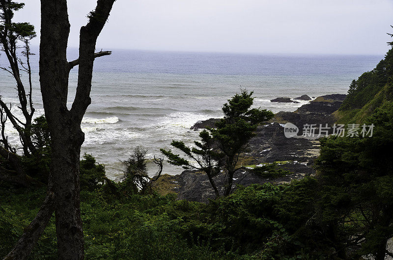 太平洋和俄勒冈海岸/海滩-沙子，冲浪，和茂密的森林